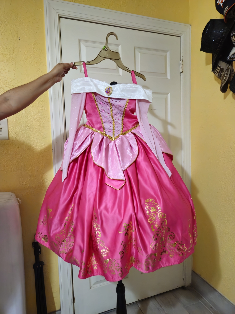 Disney Hot Pink and Gold Princess Dress Costume